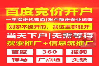 百度推广优化策略：成功案例解析